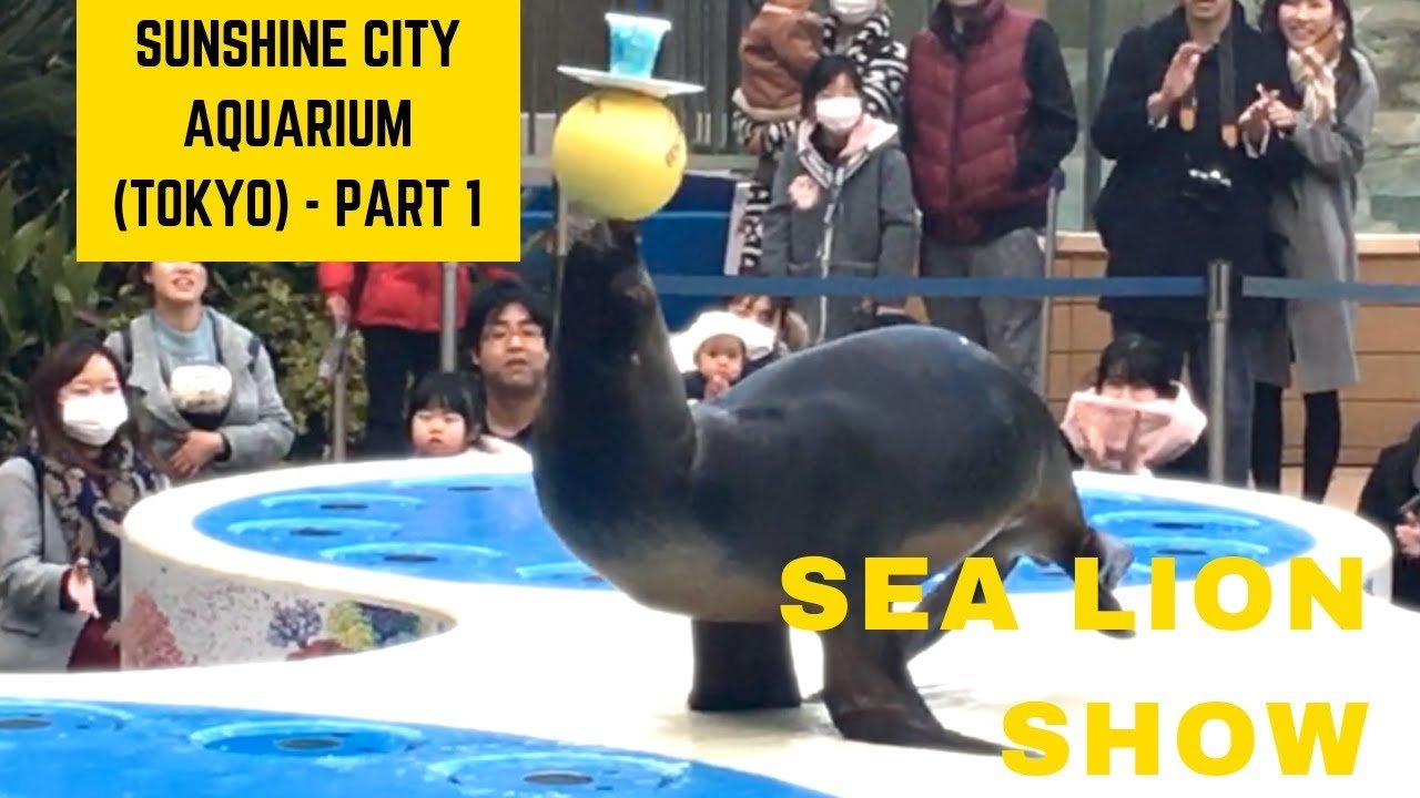 🐠 선샤인 수족관 이미지 5